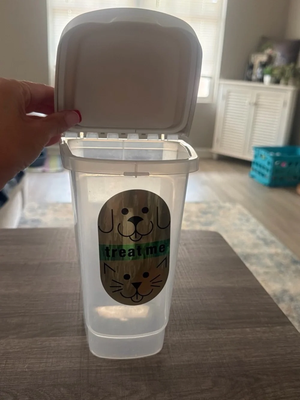 Clear Treat Me Pet Treat Container with Cute Dog & Cat Graphic
